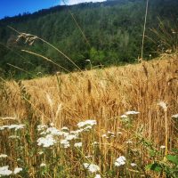 385706680_291472156975563_5502851358881557255_n