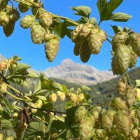 385743959_291472160308896_5284834289477250279_n